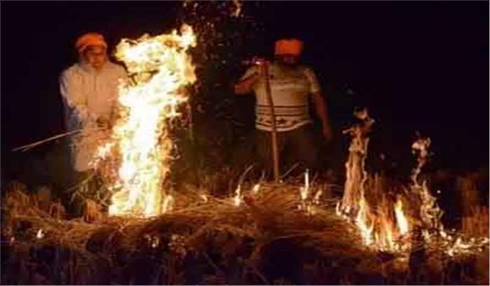 सुप्रीम कोर्ट ने राज्यों से कहा, पराली जलाना फौरन रोकें