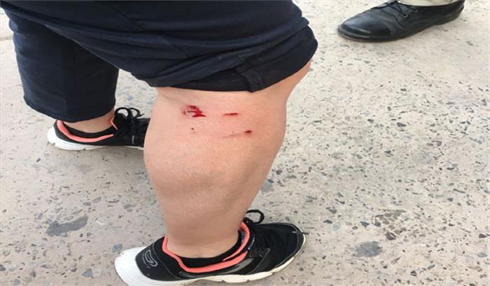 ताजमहल में फ्रांसीसी पर्यटकों पर बंदरों का हमला, 2 जख्मी