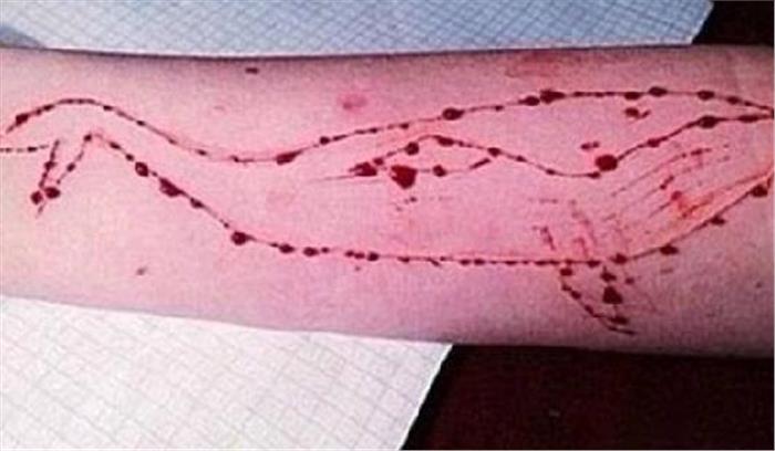 तमिलनाडु: खतरनाक ब्लू व्हेल गेम से 1 की मौत