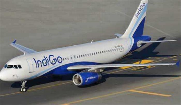 चेन्नई: इंडिगो के विमान से टकराया पक्षी चेन्नई: इंडिगो के विमान से टकराया पक्षी