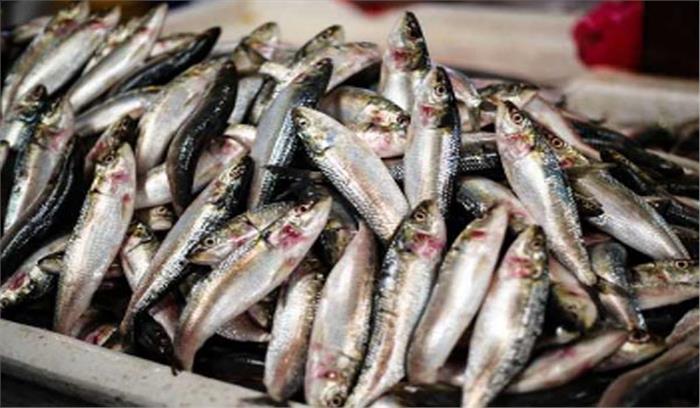 तमिलनाडु: मछली की कीमतों में इजाफा होने की आशंका