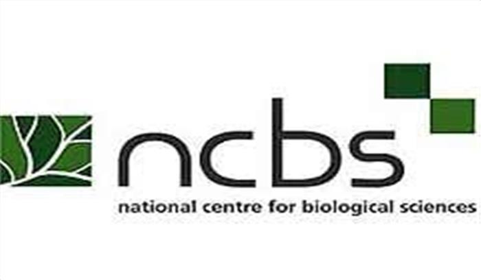 भारतीय भाषाओं में कोरोना से बचाव के उपाय बता रहे एनसीबीएस के वैज्ञानिक