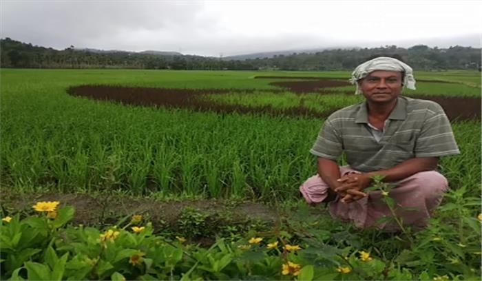 टीचर से किसान बने शख्स ने धान कला के माध्यम से खेती को दिया बढ़ावा
