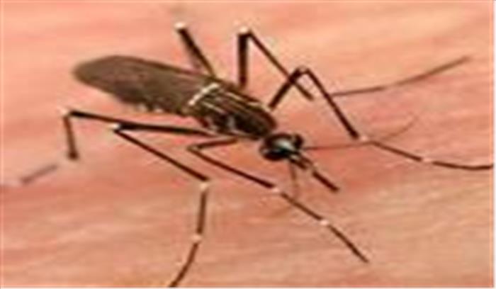 तकनीकी खामियों के चलते एप की पहुंच से बाहर हुए निगम के डीबीसी