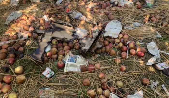 अब आतंकियों ने सेब की फसल जलाई, दहशत का माहौल