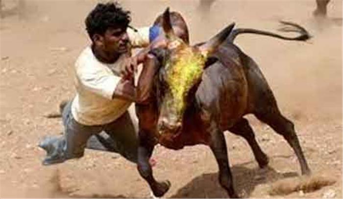 सर्वोच्च न्यायालय का जल्लीकट्टू को अनुमति देने से इनकार