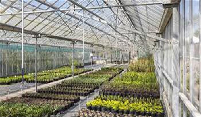 पौधा आपूर्ति के नाम  पर ठग लिए 10 लाख 