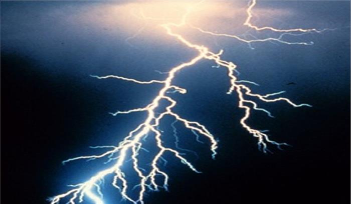 बिजली गिरने से सात मवेशियों की मौत