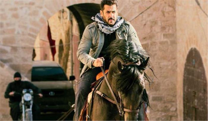 टाइगर जिंदा है कि शूटिंग चुनौतीपूर्ण थी : सलमान खान टाइगर जिंदा है कि शूटिंग चुनौतीपूर्ण थी : सलमान खान