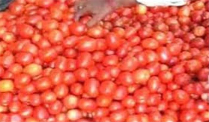 मध्यप्रदेश:टमाटर की फसल नष्ट करने को मजबूर हुए किसान