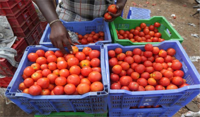 टमाटर की महंगाई पर हरकत में आई सरकार, जमाखोरी पर कसी लगाम