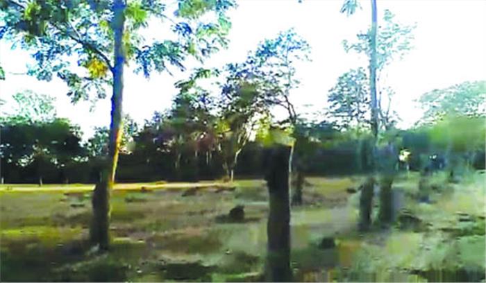 अवैध कटाई पर पीओआर कर फंस गया वन अमला