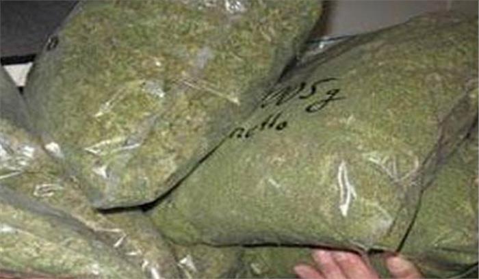 आदिवासी के घर से गांजा बरामद