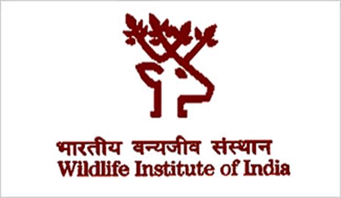 उप्र : दुधवा, बफरजोन व दक्षिण खीरी में लगाए जाएंगे 400 कैमरे