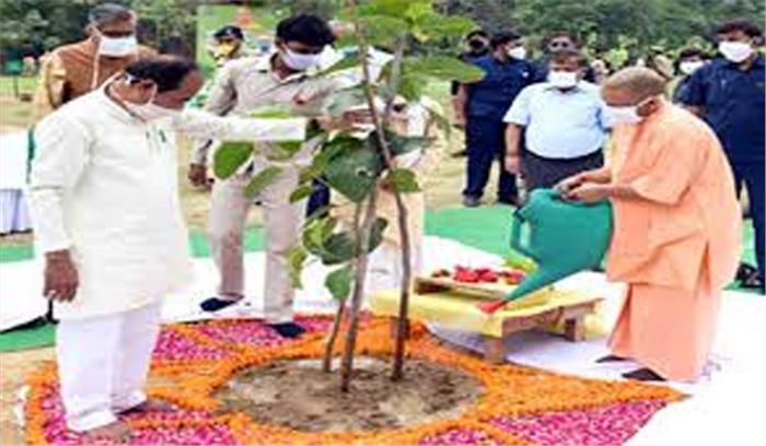 यूपी में एक दिन में बना 25 करोड़ वृक्षारोपण का रिकार्ड