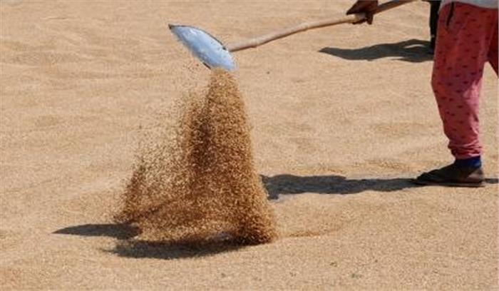 यूपी सरकार एमएसपी पर करेगी गेहूं की असीमित खरीद