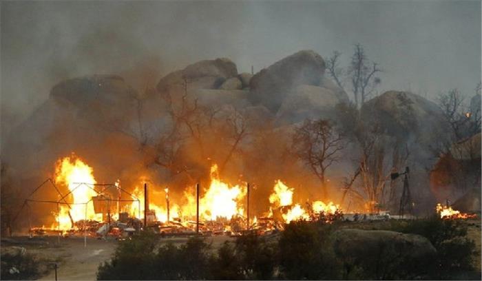 अमेरिका : एरिजोना के जंगलों में लगी आग 37000 एकड़ में फैली