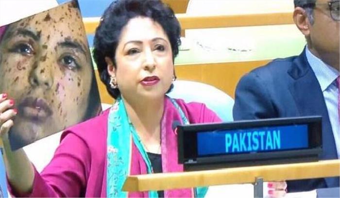 मलीहा ने गाजा की तस्वीर को भारतीय लोकतंत्र का चेहरा बताया