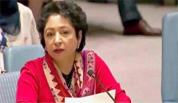 मलीहा लोधी ने लंदन में नवाज शरीफ से मुलाकात की