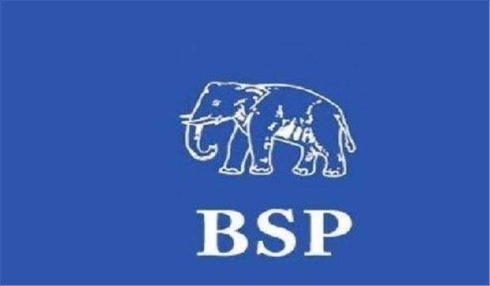 उन्नाव के पूर्व विधायक राधेलाल रावत बसपा से निष्कासि