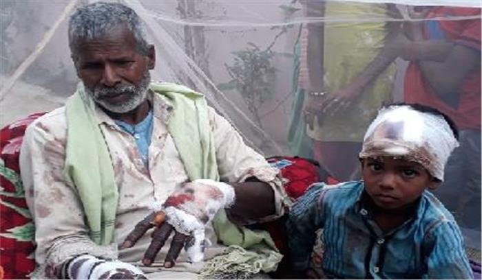 बहराइच में तेंदुए ने दादा और पोते को किया घायल