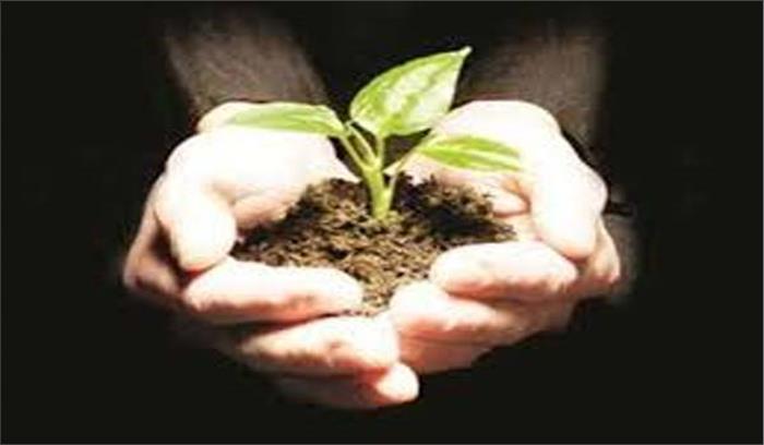 नोखी पहल : पौधरोपण की शर्त पर जमानत मिलेगी