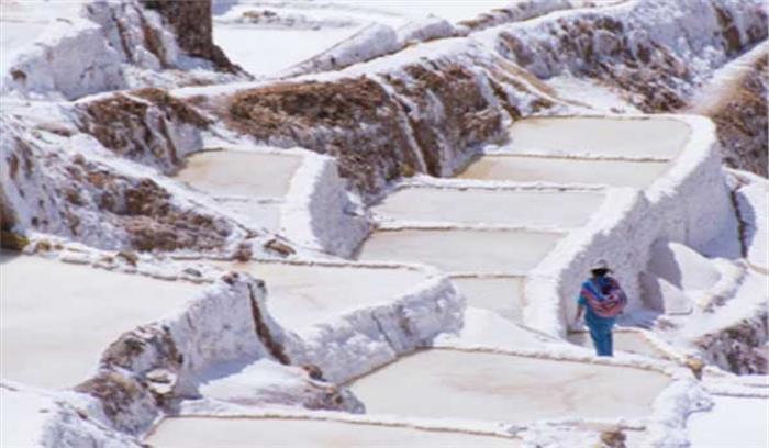 सिद्धार्थनगर: नमक और चावल की खेती को बढ़ावा देने के लिए 20 करोड़ मंजूर