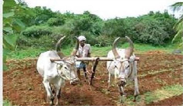 बस्ती: किसानों को निःशुल्क मिलेगा बीज