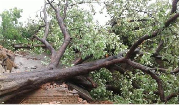 मिर्जापुर में पेड गिरने से बच्ची की मौत