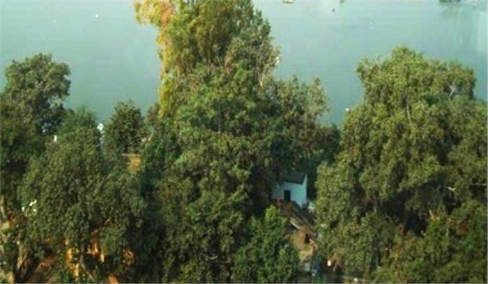 रक्षा प्रदर्शनी के लिए अब नहीं हटाए जाएंगे पेड़ : प्रशासन