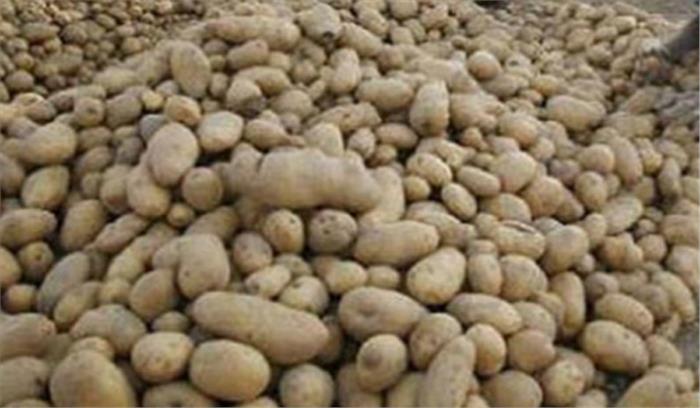 आलू समर्थन मूल्य किसानो के साथ सरासर धोखा: मुकट सिंह