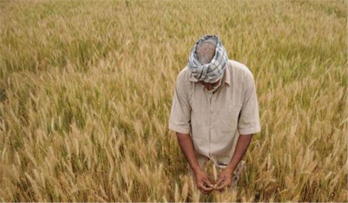 किसानों के ऋण माफी योजनाओं की समीक्षा के लिए बुंदेलखंड आयेगी टीम