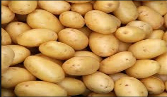 इटावा: 40 हज़ार मीट्रिक टन आलू का उत्पादन हुआ