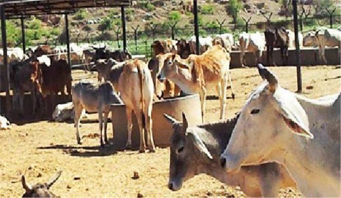 पशु चिकित्सा अधिकारी के खिलाफ छेड़खानी का मामला दर्ज