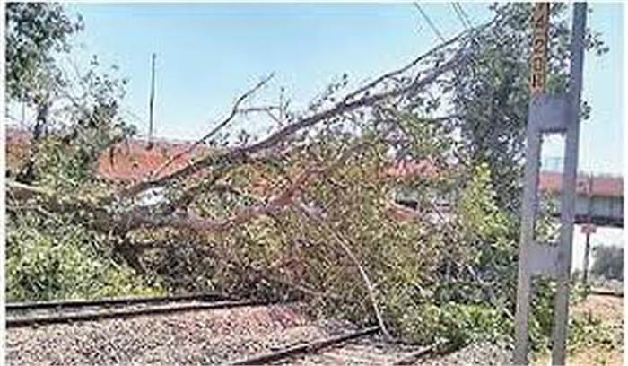 रेल ट्रैक पर पेड़ गिरे: तीन घंटे बाधित रहा यातायात