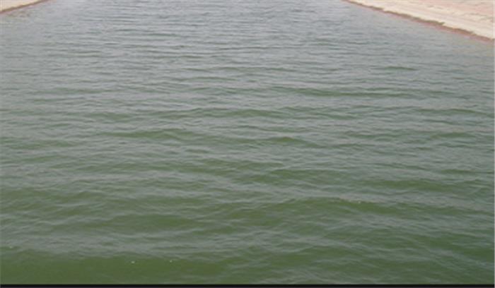 बहराइच में नहर से युवक का शव बरामद