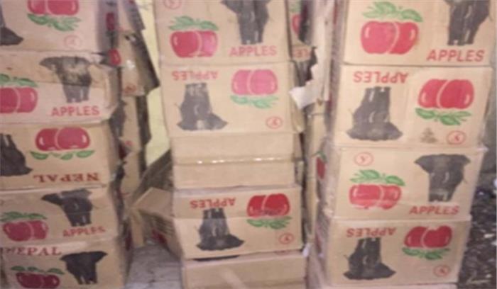 नेपाल से तस्करी कर लाए गए चाइनीज सेब बरामद