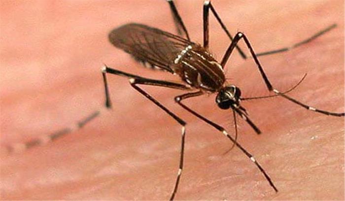 उत्तर प्रदेश में डेंगू का डंक, अब तक 7598 लोग चपेट में