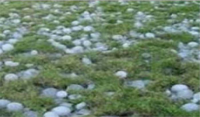 अम्बेडकरनगर: संदिग्ध अवस्था में महिला की मौत, शव खेत से बरामद