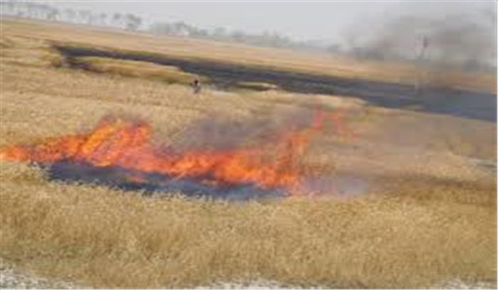हरदोई में आग लगने से सैंकडो बीघा गेहूं की फसल राख