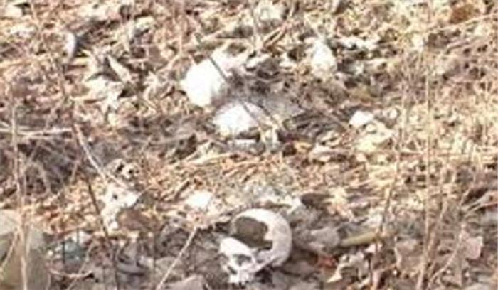 यूपी: बच्चे के सिर का कंकाल मिलने से फैली सनसनी