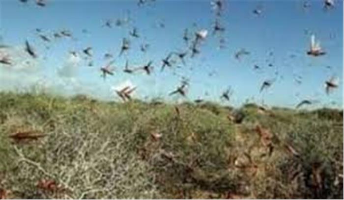 सोनभद्र : जड़ी-बूटी नष्ट होने से चरमराया आदिवासियों का आर्थिक ढांचा!