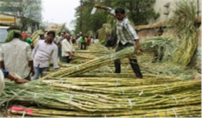 योगी सरकार गन्ना किसानों को बकाया पैसे के बदले शक्कर देगी