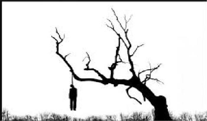 1 व्यक्ति का शव पेड़ से लटका मिला