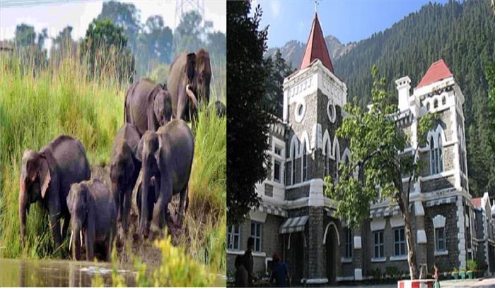 उत्तराखंड उच्च न्यायालय ने हाथियों के संरक्षण पर सरकार से मांगी रिपोर्ट