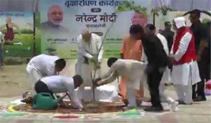 मोदी ने वाराणसी में पौधारोपण कर दिया पर्यावरण संरक्षा का संदेश