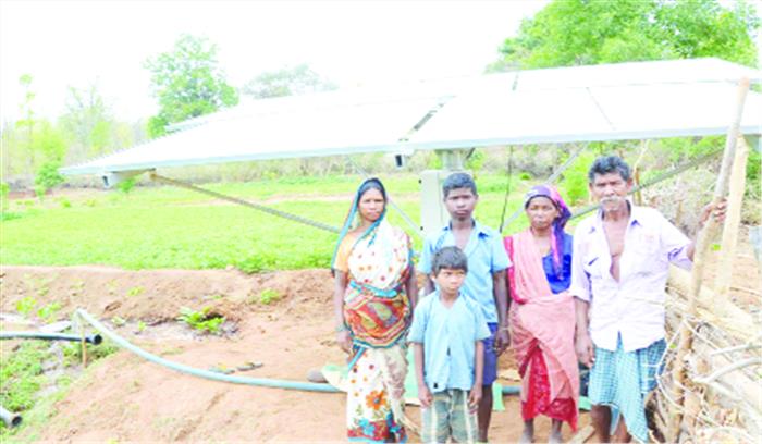 सब्जी उत्पादन से संवर रही पहाड़ी कोरवाओं की जिंदगी सब्जी उत्पादन से संवर रही पहाड़ी कोरवाओं की जिंदगी