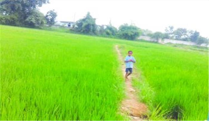 खेत के मेड़ पार कर स्कूल जाने बच्चे मजबूर