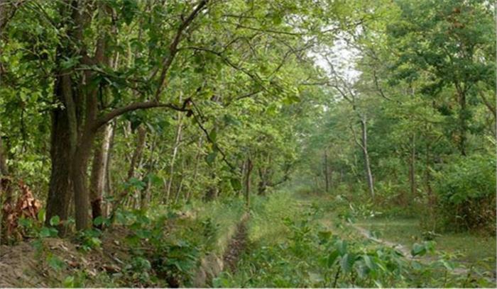 अवैधरुप से ले जा रहे 6 मवेशियों को मुक्त कराया 