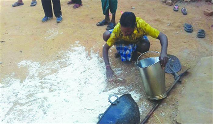 स्कूल में घुसा हाथी, दरवाजे-खिड़की तोड़े